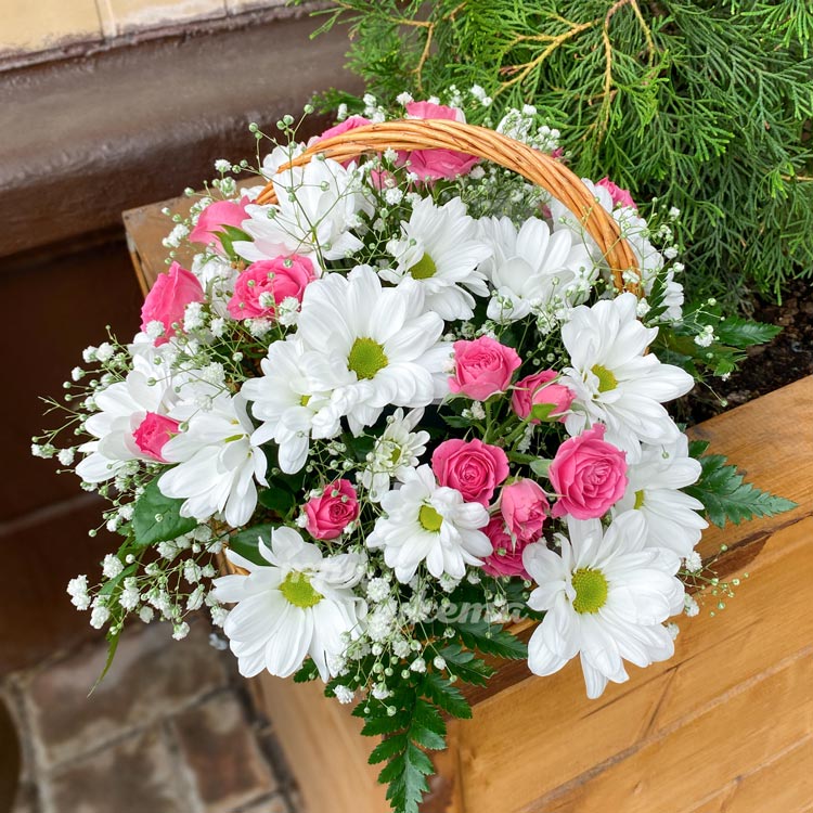 Корзина белых хризантем (вид сверху)