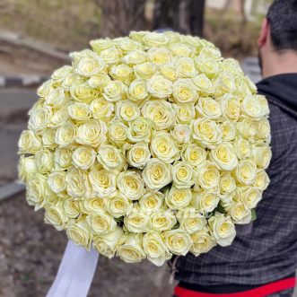 101 белая роза (Premium) 60 см