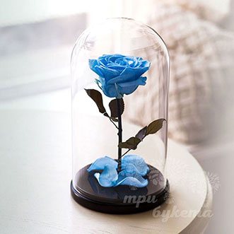 Голубая роза в колбе 26 см