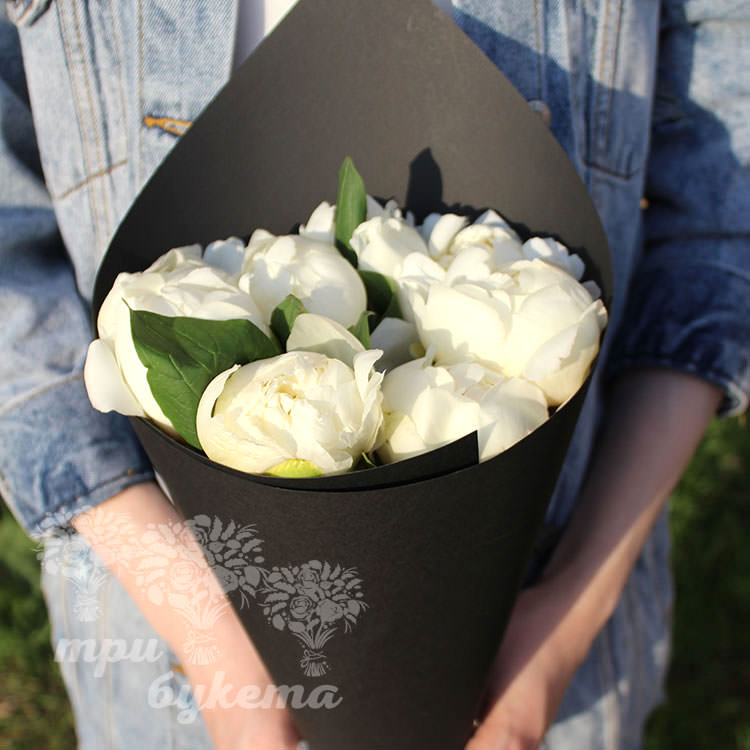7 белых пионов в Premium упаковке Блэк