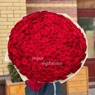 Букет из 301 красной розы Букет из 301 красной розы