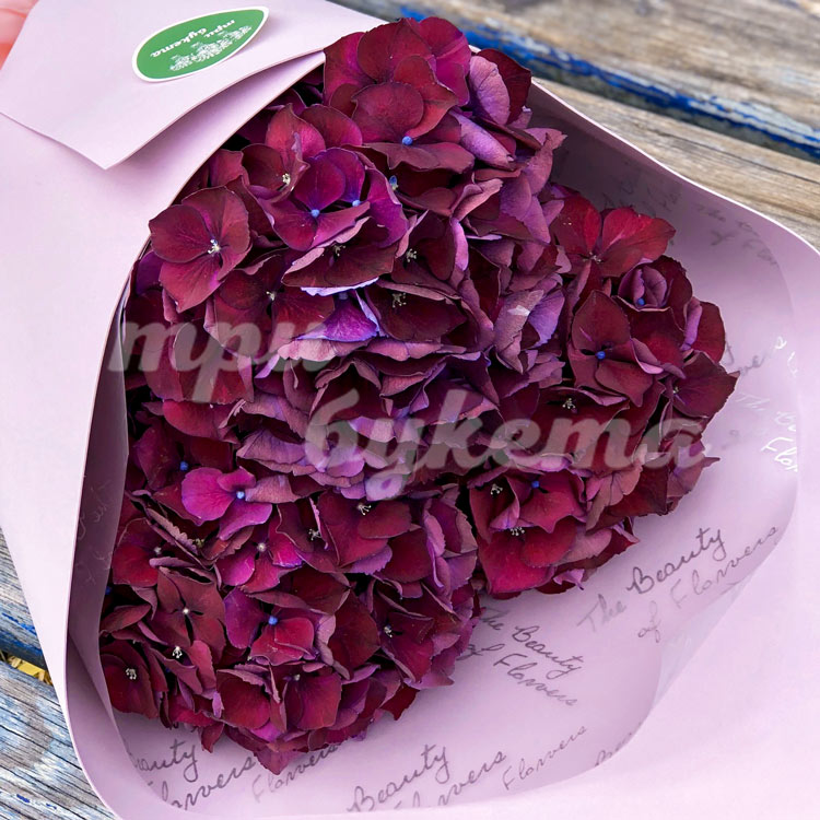 Букет из 3 пышных гортензий (крупный план)