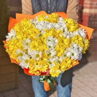 Букет из 30 желтых и белых хризантем
