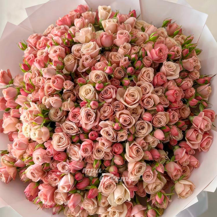 Букет из 51 нежно-розовой кустовой розы (крупный план)